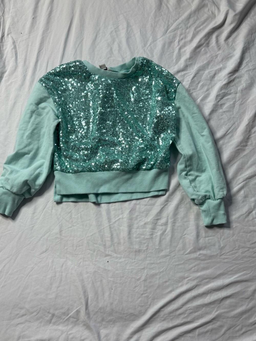 Habitual Girls Mint Sequin Sweatshirt